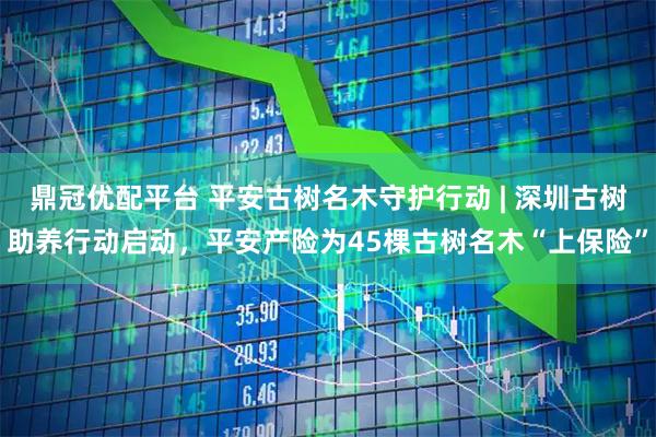 鼎冠优配平台 平安古树名木守护行动 | 深圳古树助养行动启动，平安产险为45棵古树名木“上保险”