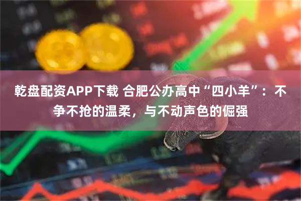 乾盘配资APP下载 合肥公办高中“四小羊”：不争不抢的温柔，与不动声色的倔强