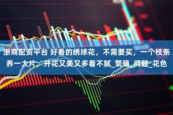 浙商配资平台 好看的绣球花，不需要买，一个枝条养一大片，开花又美又多看不腻_繁殖_问题_花色