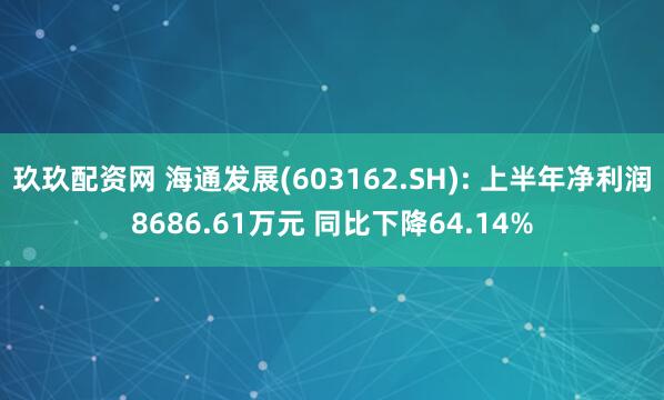 玖玖配资网 海通发展(603162.SH): 上半年净利润8686.61万元 同比下降64.14%
