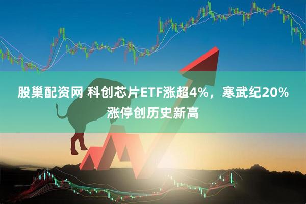 股巢配资网 科创芯片ETF涨超4%，寒武纪20%涨停创历史新高